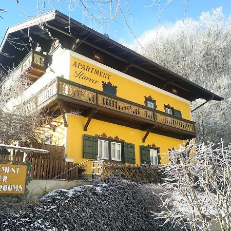 Appartement Harrer Zell am See Eksteriør billede